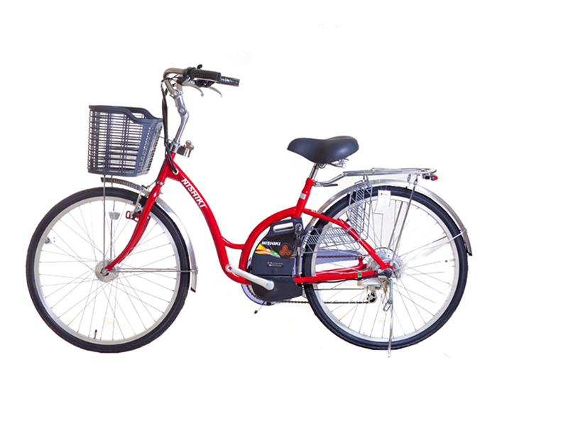 Xe đạp điện Nishiki nhập khẩu Đống Đa 