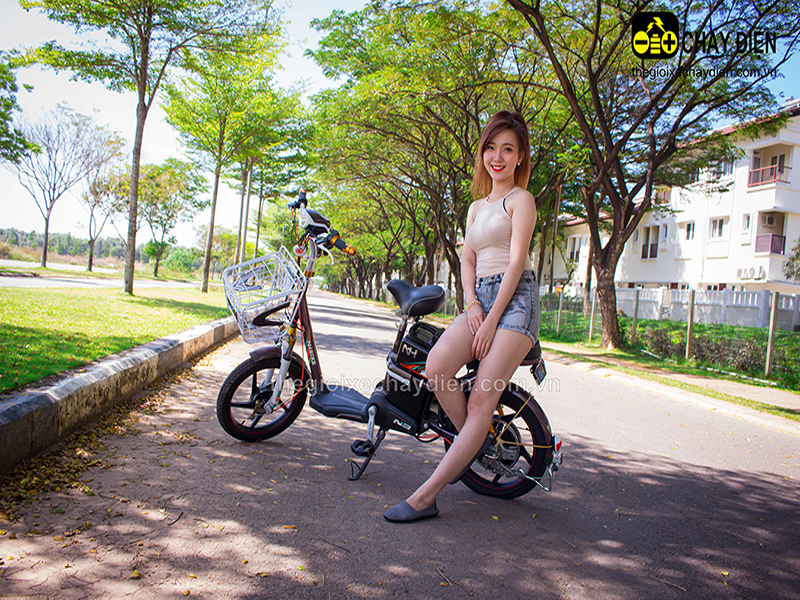 Xe đạp điện Ngọc Hà nhập khẩu Lào Cai 