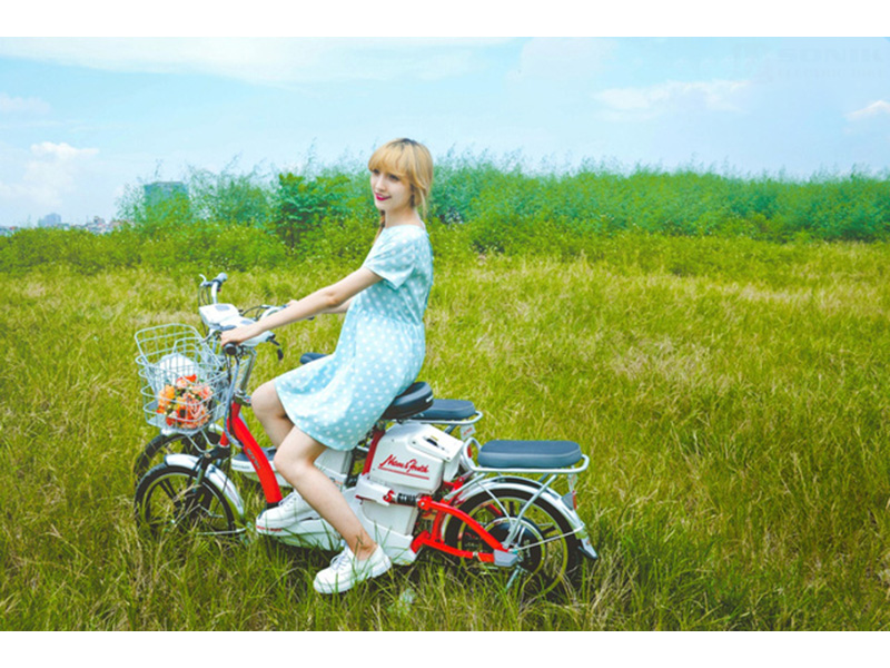Ắc quy xe đạp điện Sonik Kon Tum 