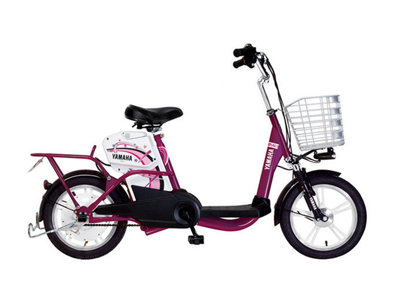 Xe đạp điện Yamaha nhập khẩu Thanh Xuân 