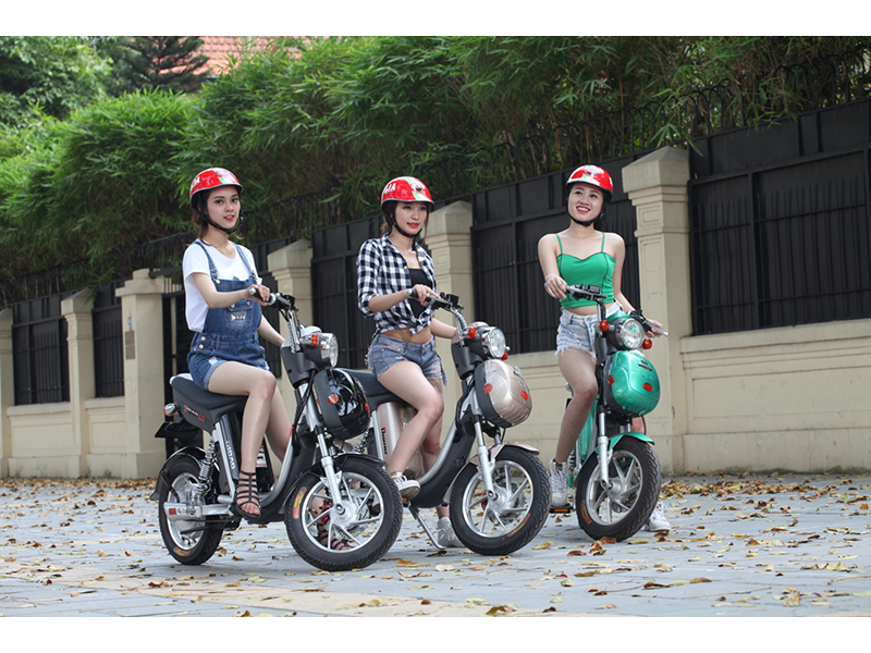 Xe đạp điện Dibao nhập khẩu Nghệ An 