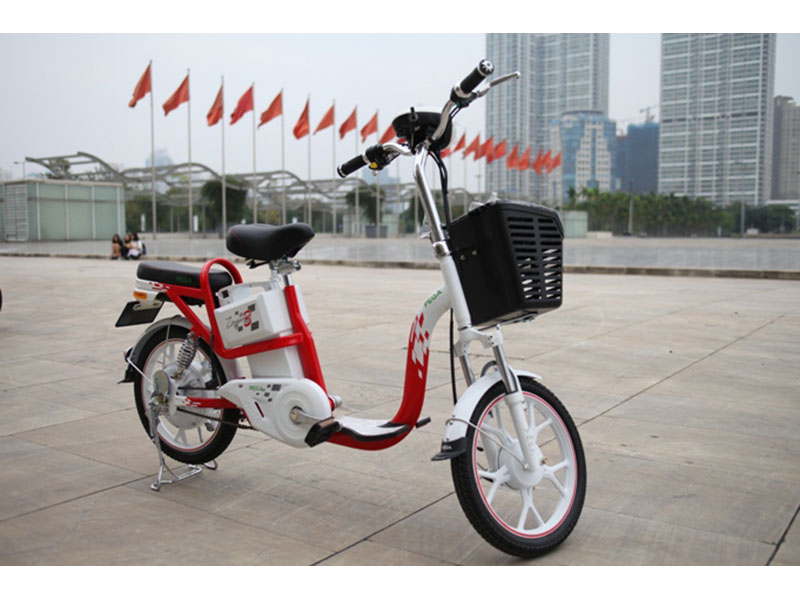 Xe đạp điện Pega nhập khẩu Hoàng Mai 