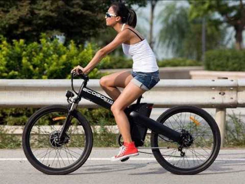 Xe đạp điện Ecogo nhập khẩu Lào Cai
