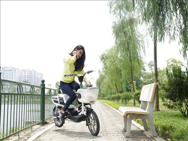 Ắc quy xe đạp điện Ambike Bình Phước 