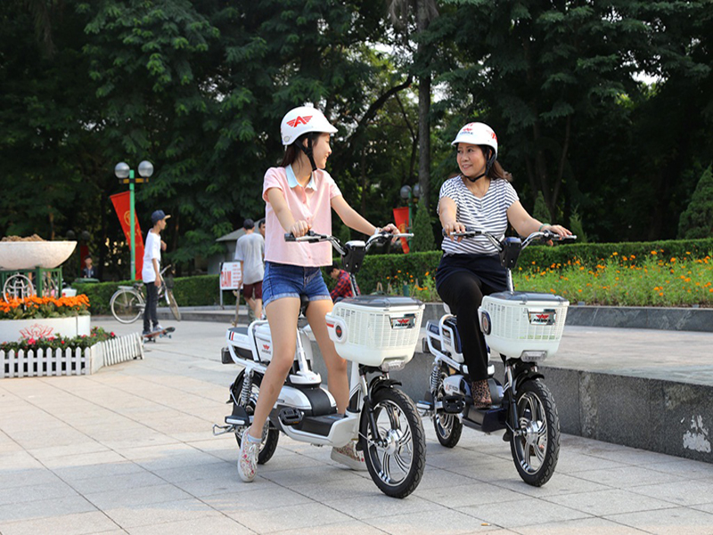 Phụ tùng xe đạp điện Ambike Đồng Nai 