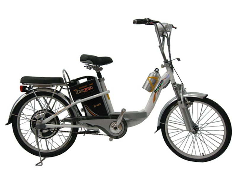 Ắc quy xe đạp điện Dragon Lào Cai 