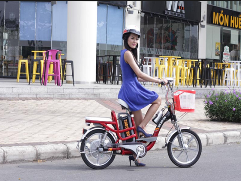 Ắc quy xe đạp điện Dragon Hà Giang