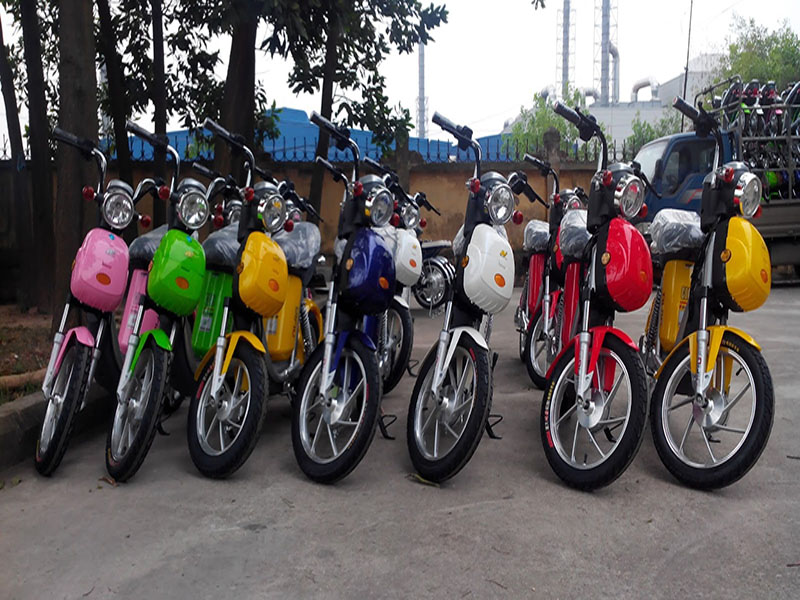 Ắc quy xe đạp điện Dibao Trà Vinh 