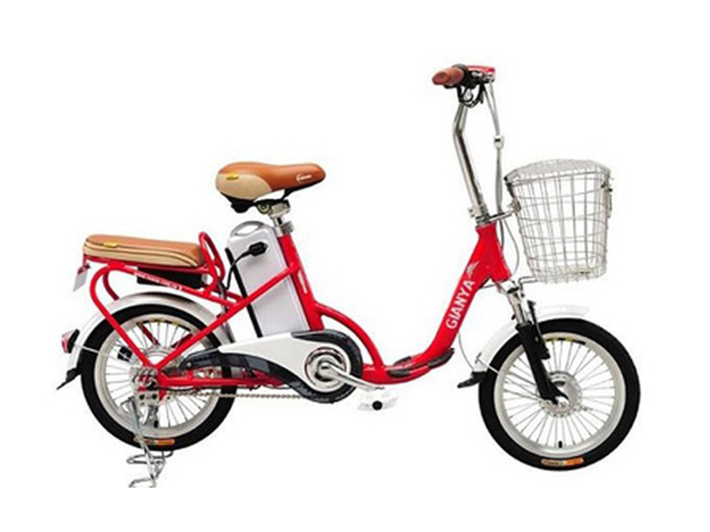 Xe đạp điện Gianya nhập khẩu Hậu Giang 