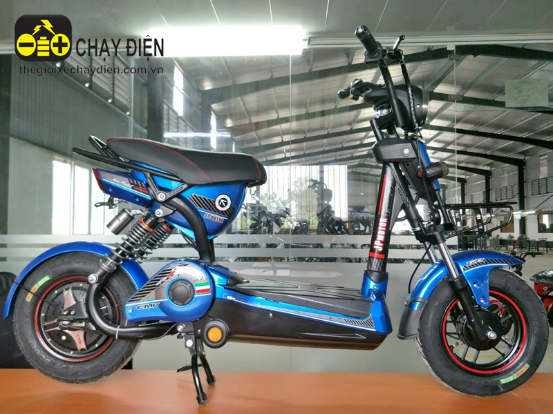 Xe đạp điện Victoria nhập khẩu Thanh Xuân 