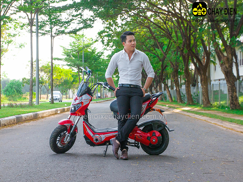 Bảng giá đạp điện –Xe máy điện Ecobike rẻ nhất  tháng 8 năm 2018
