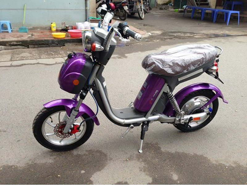 Xe đạp điện Nijia nhập khẩu Hoàng Mai