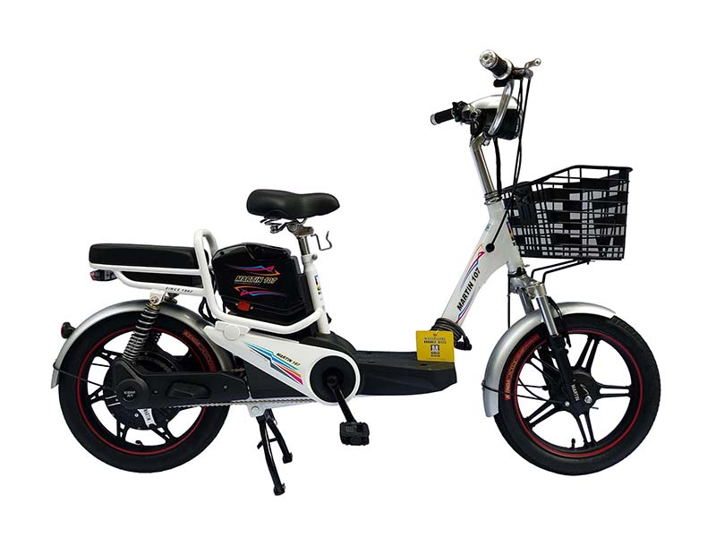 Xe đạp điện Martin nhập khẩu Đống Đa