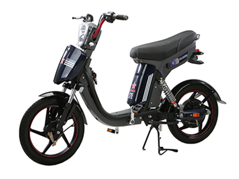 Xe đạp điện Autosun nhập khẩu Hai Bà Trưng 