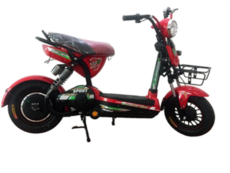 Xe đạp điện Kingda nhập khẩu Bạc Liêu 
