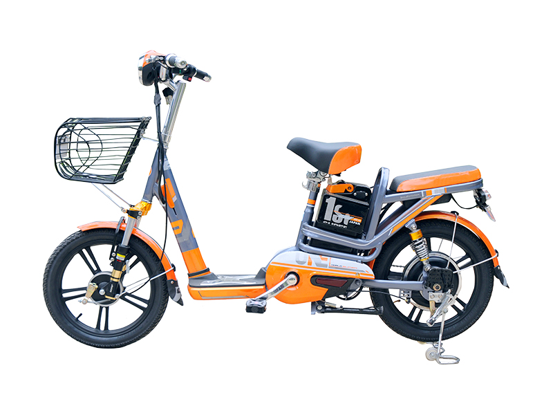 Xe đạp điện Kingda nhập khẩu Ninh Thuận 
