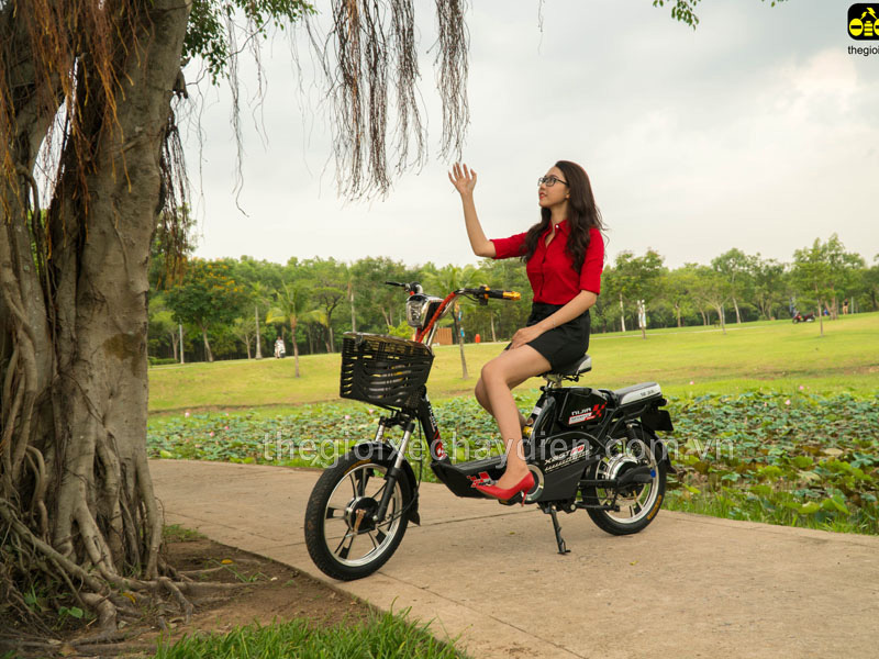 Xe đạp điện Nijia nhập khẩu Cát Tường 