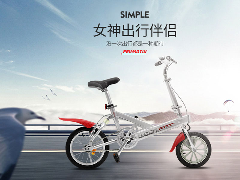Xe đạp điện gấp FMT nhập khẩu Bình Thuận 