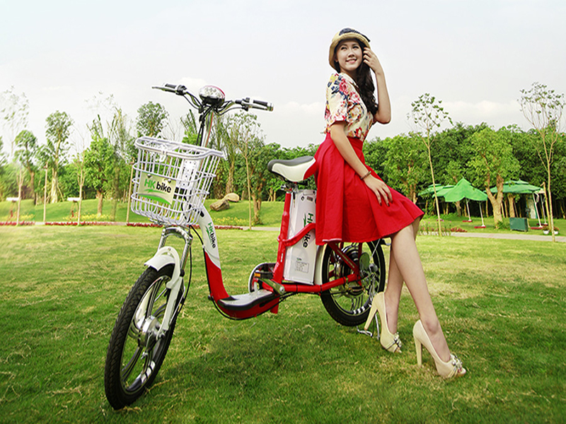 Phụ tùng xe đạp điện Hkbike Đồng Nai 