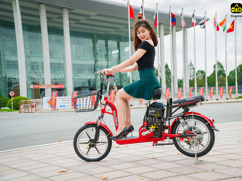 Phụ tùng xe đạp điện Terra Motors Bắc Giang 