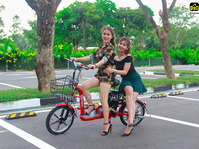 Ắc quy xe đạp điện Terra Motors Ninh Bình