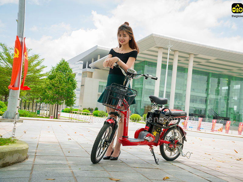 Ắc quy xe đạp điện Terra Motors Quảng Bình 