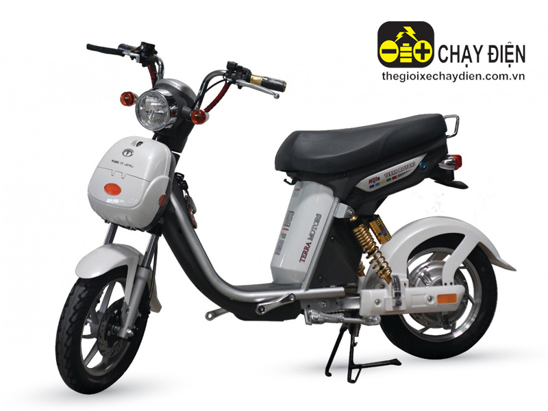 Ắc quy xe đạp điện Terra Motors Nam Định 