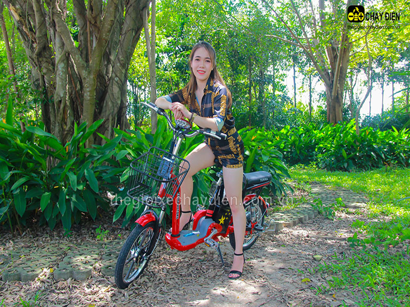 Ắc quy xe đạp điện Terra Motors Thái Bình