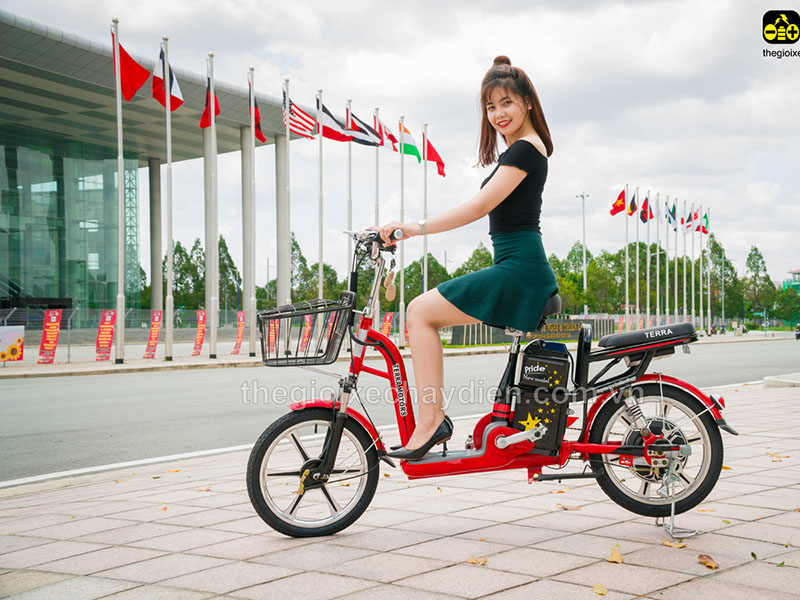 Ắc quy xe đạp điện Terra Motors Dak Nông