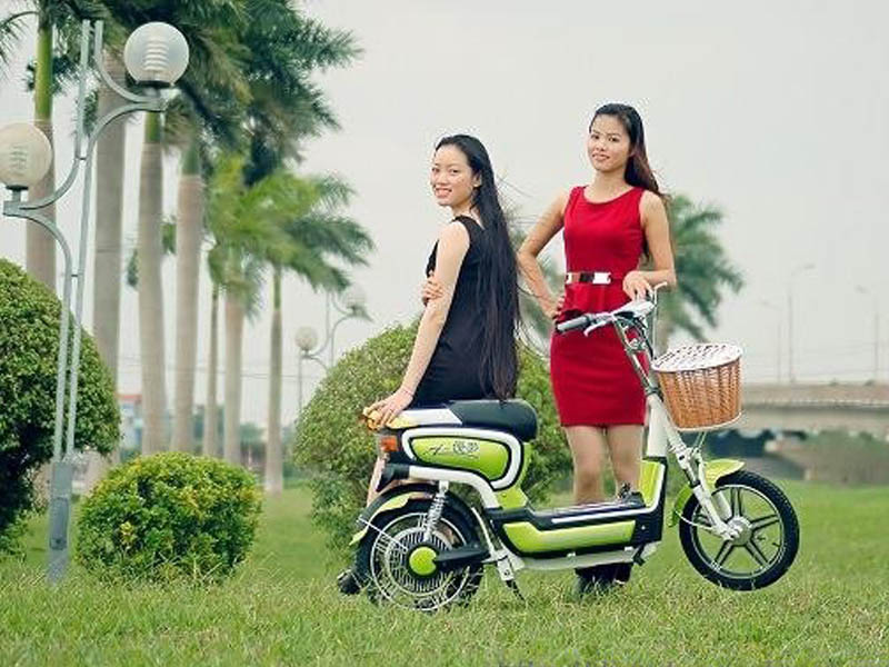 Xe đạp điện Bridgestone nhập khẩu Điện Biên 
