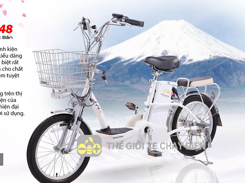 Xe đạp điện Bridgestone nhập khẩu Bình Dương