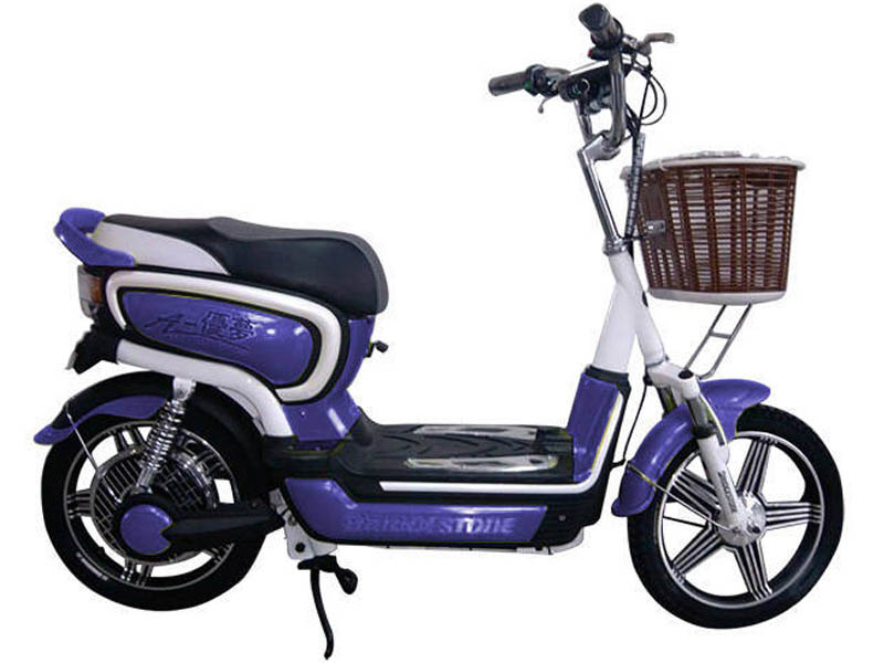 Xe đạp điện Bridgestone nhập khẩu Long Biên 