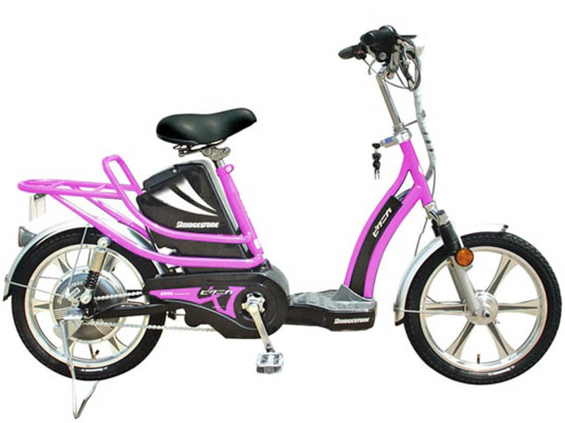 Xe đạp điện Bridgestone nhập khẩu Lai Châu 