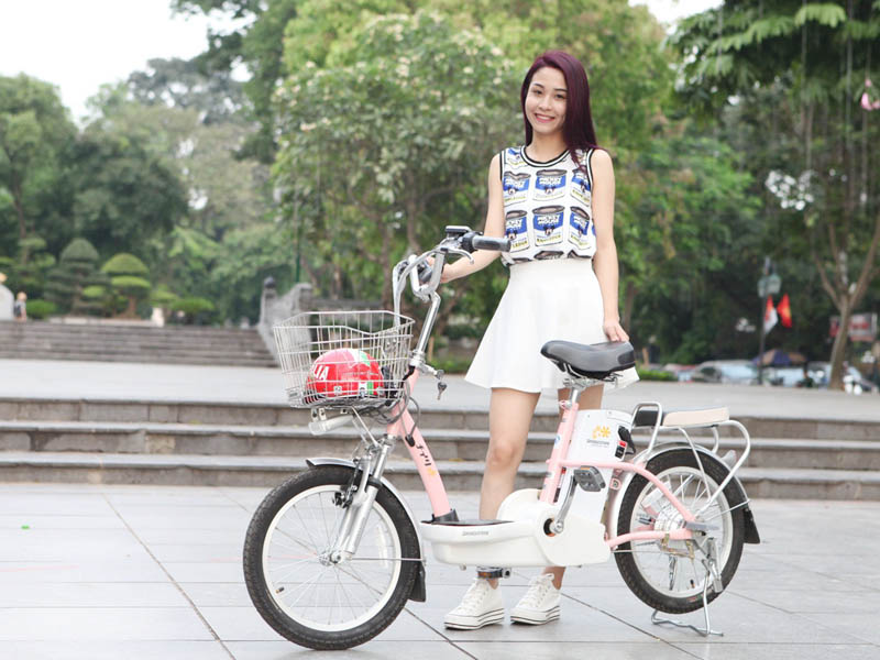 Xe đạp điện Bridgestone nhập khẩu Hòa Bình 