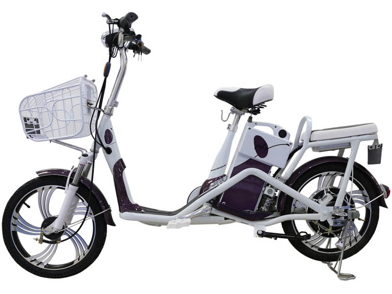 Ắc quy xe đạp điện Yadea Đồng Tháp