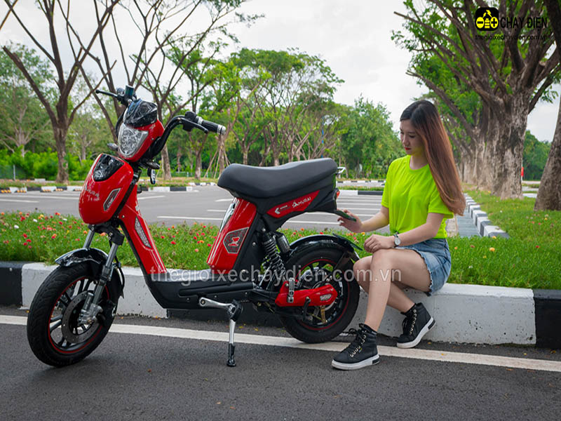 Xe đạp điện Đào Khôi Dkbike nhập khẩu Lào Cai 