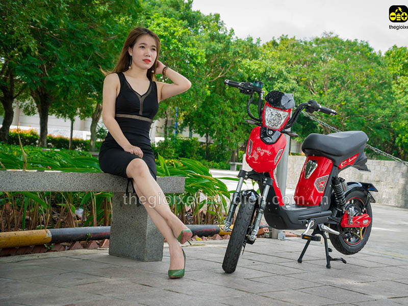 Xe đạp điện Đào Khôi Dkbike nhập khẩu Lái Thiêu