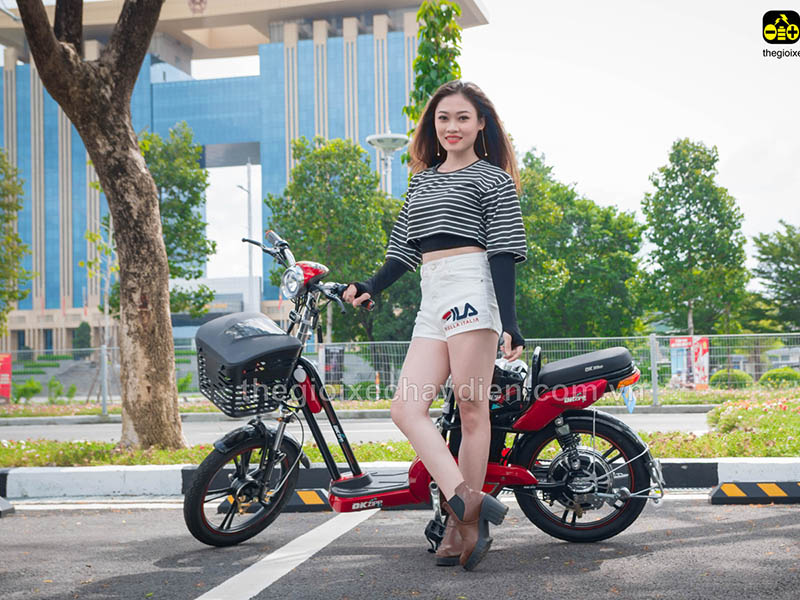 Xe đạp điện Đào Khôi Dkbike nhập khẩu Gia Lai 