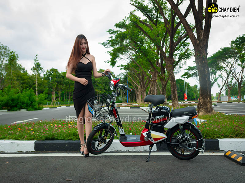 Xe đạp điện Đào Khôi Dkbike nhập khẩu Lâm Đồng