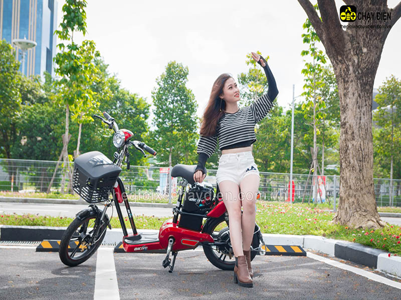 Xe đạp điện Đào Khôi Dkbike nhập khẩu Quảng  Nam