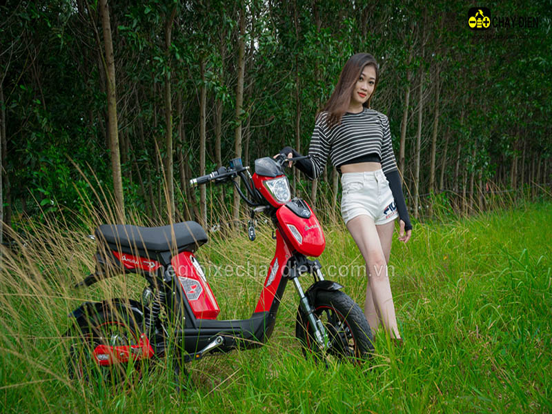 Xe đạp điện Đào Khôi Dkbike nhập khẩu Đồng Nai