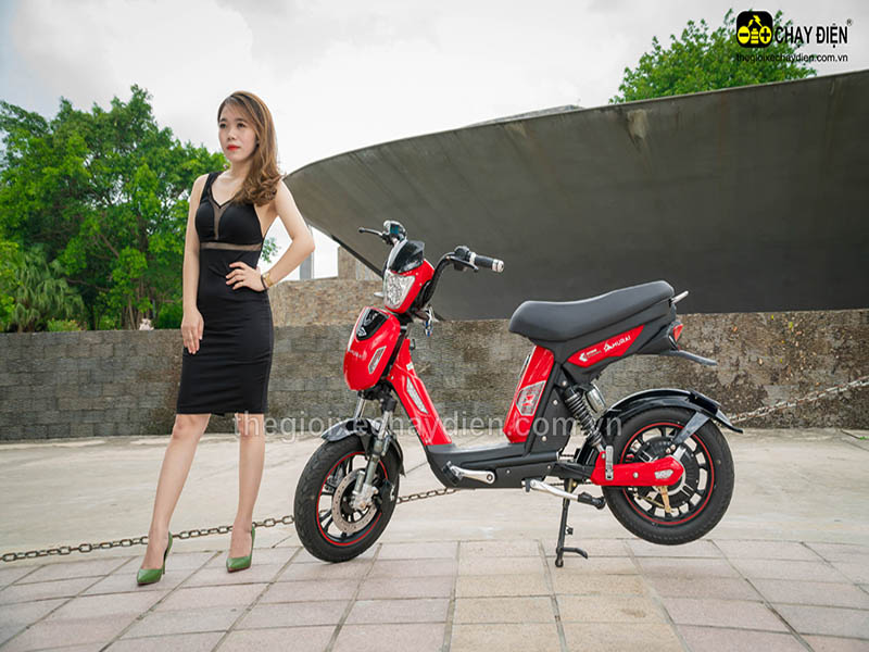Xe đạp điện Đào Khôi Dkbike nhập khẩu Lào Cai 