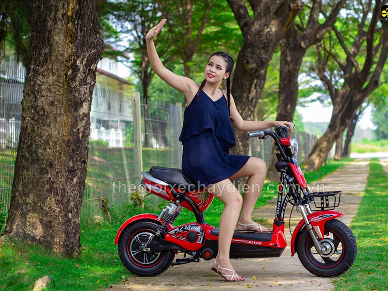 Phụ tùng xe đạp điện Alpha Bình Định