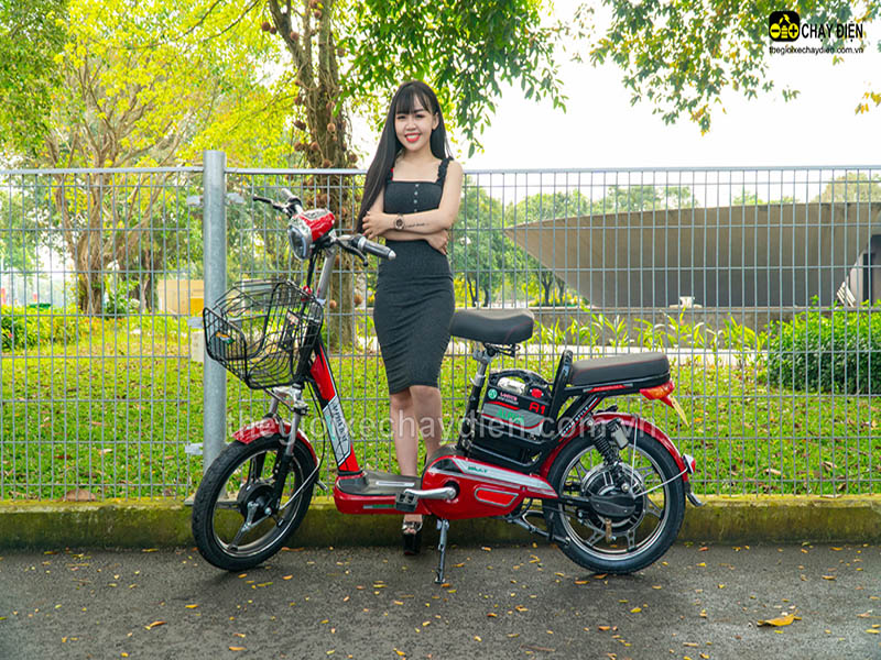 Ắc quy xe đạp điện Alpha Đồng Nai 