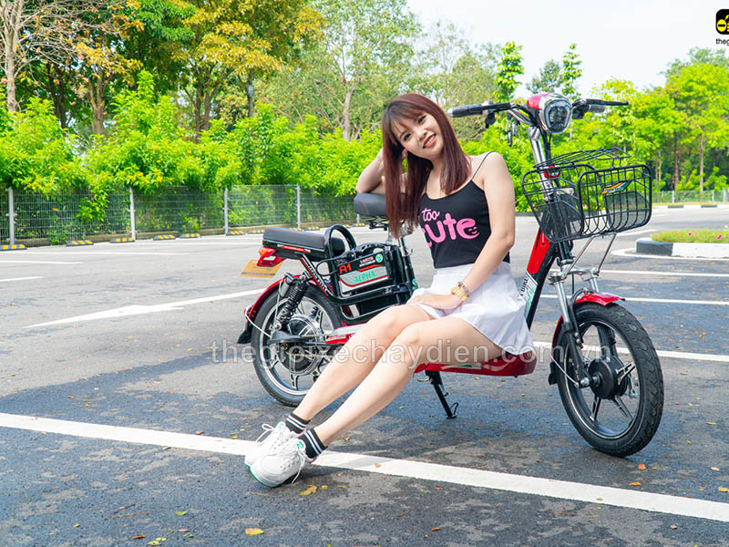 Phụ tùng xe đạp điện Alpha Thái Bình