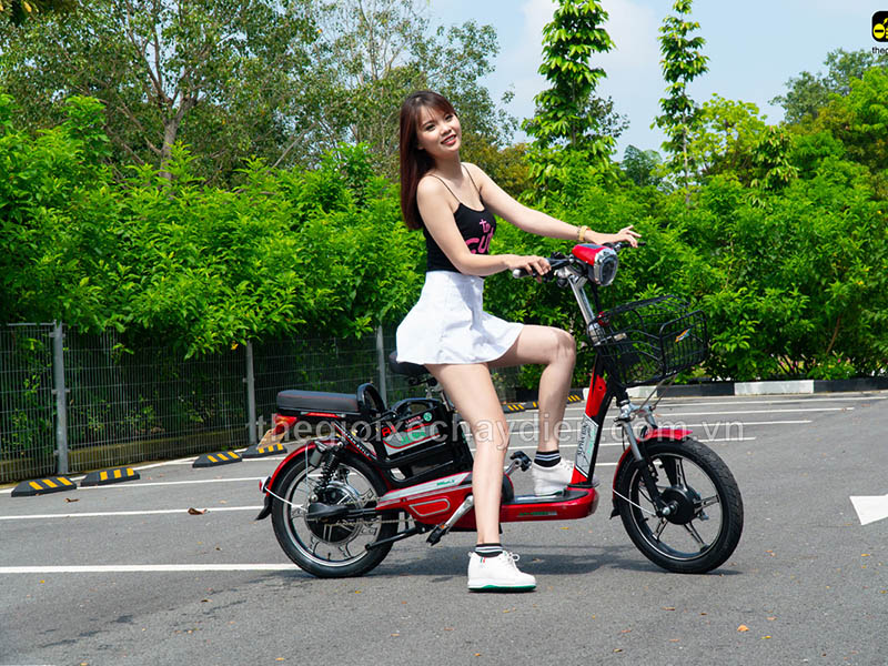 Ắc quy xe đạp điện Alpha Lào Cai