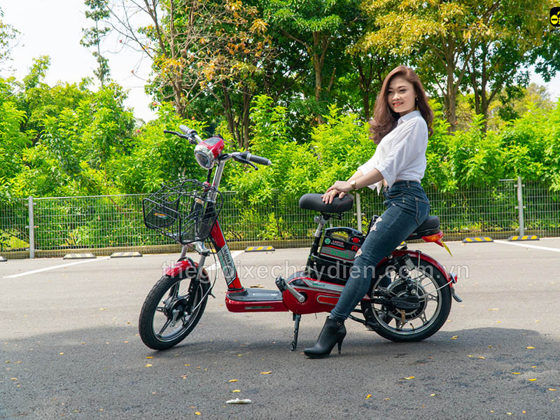Ắc quy xe đạp điện Alpha Nam Định