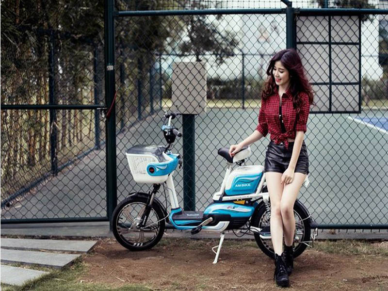 Ắc quy xe đạp điện Ambike Thái Bình 