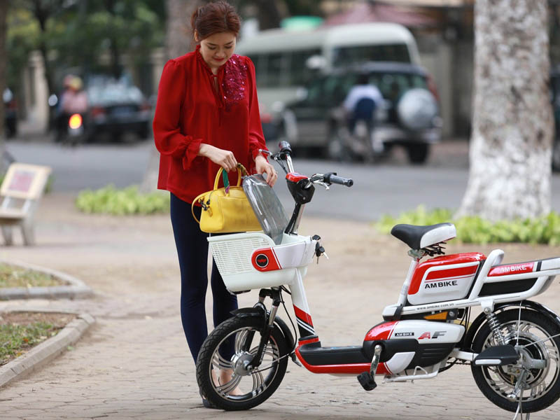 Ắc quy xe đạp điện Ambike Quảng Ngãi 