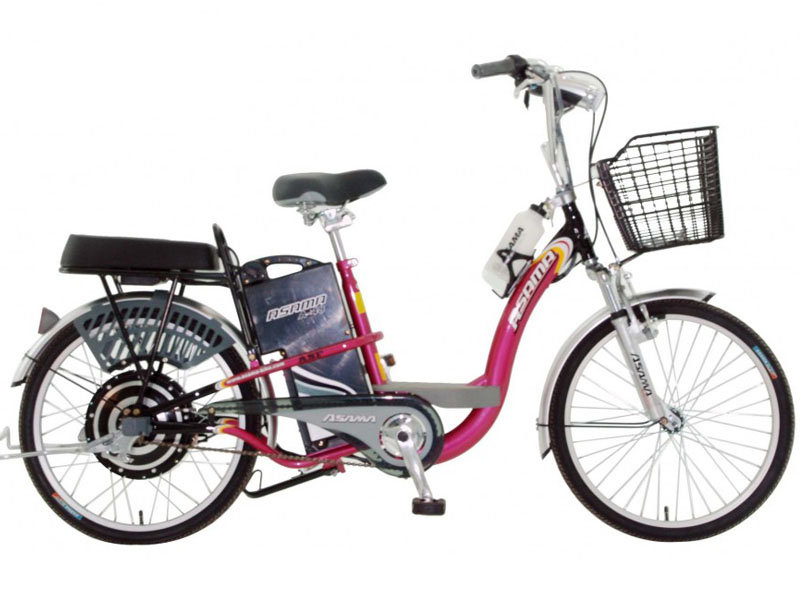 Ắc quy xe đạp điện Asama Quảng Trị